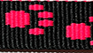 neonpink title=